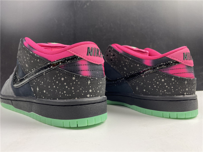 nike dunk sb low premier "N0*Hern lights" - 724183-063