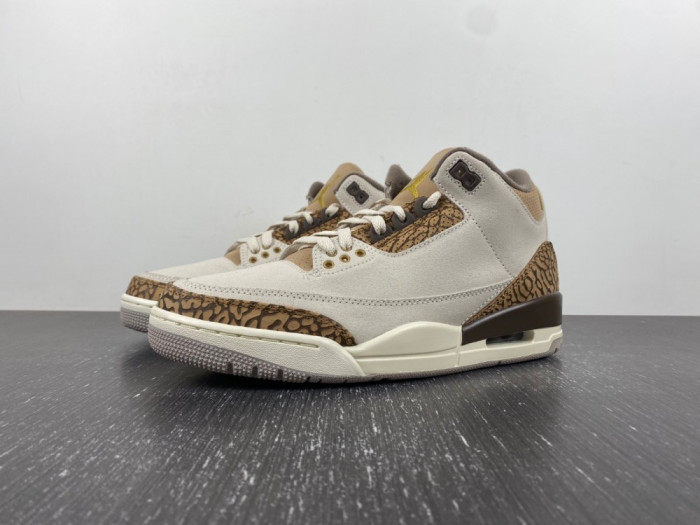 Air Jordan 3 “Palomino” CT8532-102