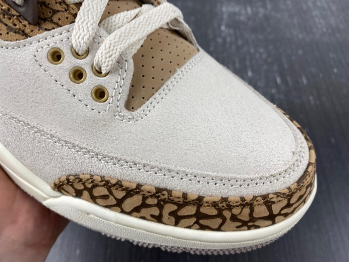 Air Jordan 3 “Palomino” CT8532-102